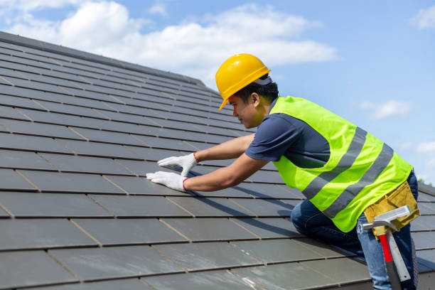 Best Roof Repair Services  in Almont, MI