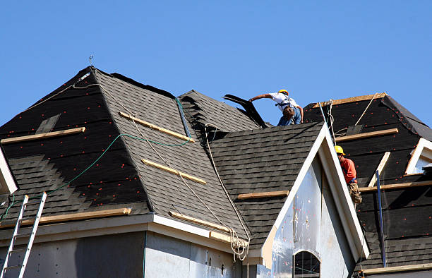 Best Local Roofing Companies  in Almont, MI
