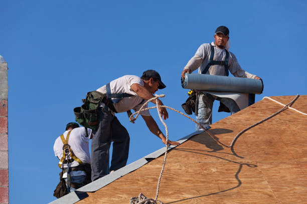 Best New Roof Installation  in Almont, MI