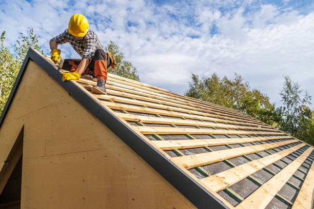 Best Storm Damage Roof Repair  in Almont, MI