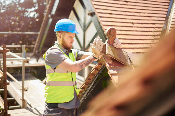 Best Roof Maintenance Services  in Almont, MI