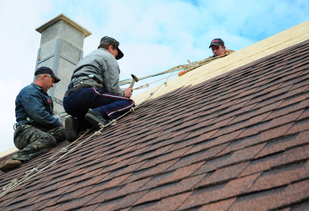 Best Gutter Installation and Roofing  in Almont, MI